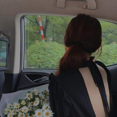胶囊计划